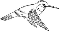 FFL017A.TIF