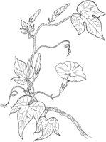 FFL016A.TIF