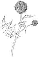 FFL015A.TIF
