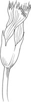FFL014B.TIF