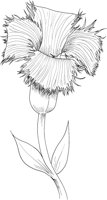 FFL014A.TIF