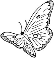 FFL013B.TIF