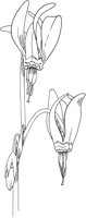FFL013A.TIF