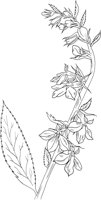 FFL011A.TIF