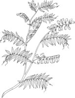 FFL009A.TIF
