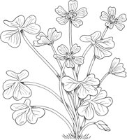 FFL007A.TIF