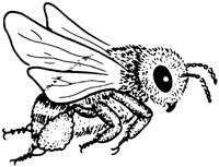 FFL006B.TIF