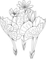 FFL004A.TIF