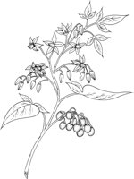 FFL003A.TIF
