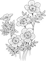 FFL002A.TIF