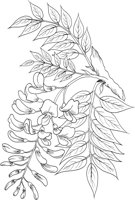 FFL001A.TIF