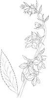 FFL000A.TIF