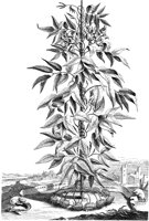 FLE104A.TIF