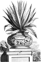 FLE099A.TIF