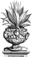 FLE098A.TIF