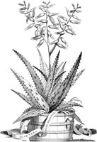 FLE094A.TIF
