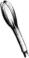 FLE093C.TIF