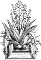 FLE093A.TIF