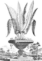FLE090A.TIF