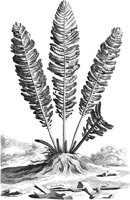 FLE089A.TIF