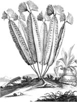 FLE088A.TIF
