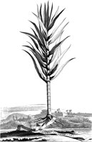 FLE086A.TIF