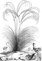 FLE084A.TIF