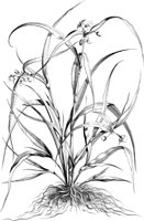 FLE083A.TIF