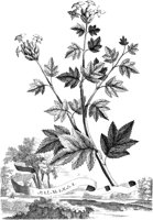FLE082A.TIF