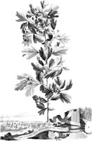 FLE080A.TIF
