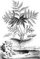 FLE074A.TIF