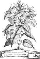 FLE072A.TIF