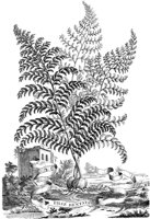 FLE071A.TIF