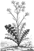 FLE064A.TIF