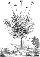 FLE063A.TIF