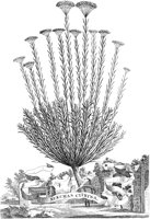 FLE062A.TIF