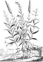 FLE061A.TIF