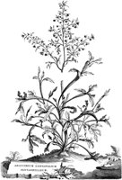 FLE060A.TIF