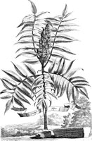 FLE059A.TIF