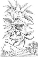 FLE058A.TIF