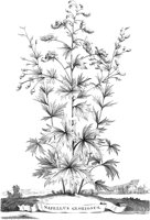 FLE057A.TIF