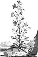 FLE051A.TIF