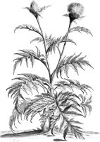 FLE049A.TIF