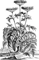 FLE045A.TIF