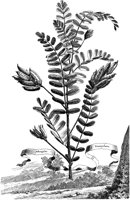 FLE044A.TIF