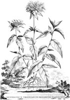 FLE042A.TIF