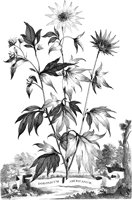 FLE041A.TIF