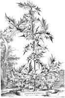 FLE037A.TIF