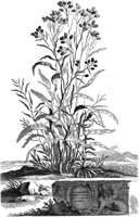 FLE035A.TIF