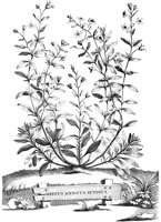 FLE034A.TIF